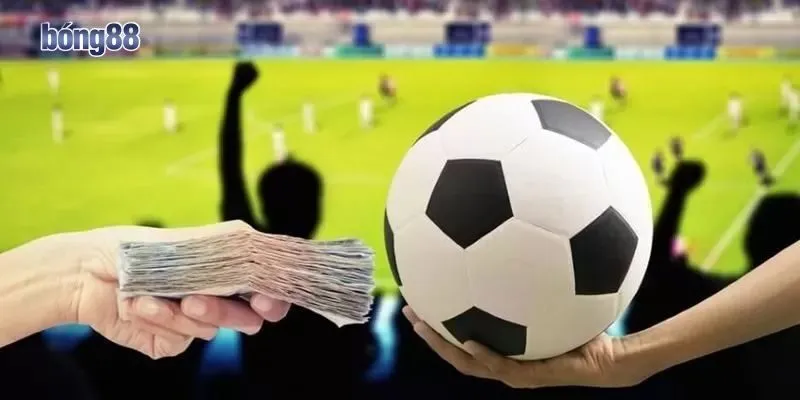 Khi nào nên đi cửa trên, khi nào chọn cửa dưới?